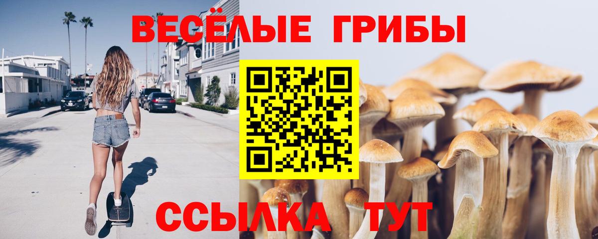 Галлюциногенные грибы ЛСД  Псилоцибиновые грибы MAGIC MUSHROOMS  где купить   Выборг  Вход с VPN 